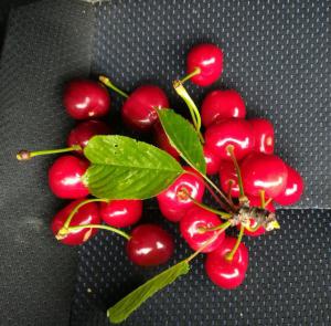 IMG 20170514 173146 (FILEminimizer)