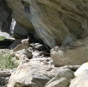 WP 20160822 006 (FILEminimizer)